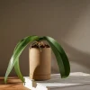 Hasami Porcelain Planter Hot