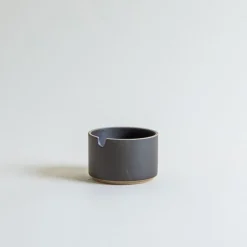 Hasami Porcelain Sugar Pot in Black Hot