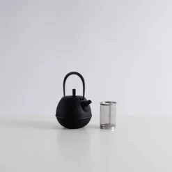 Kukan Chuzo / Hisao Iwashimizu Nambu Tekki Cast Iron Egg Teapot - Small Fashion