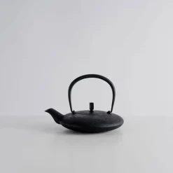 Kukan Chuzo / Hisao Iwashimizu Nambu Tekki Cast Iron Moon Teapot Online