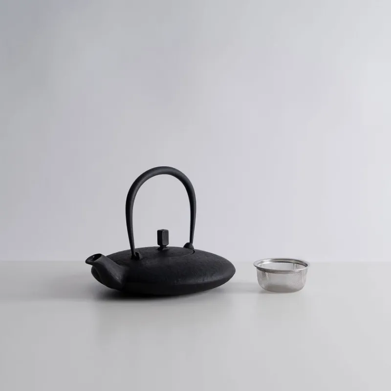 Kukan Chuzo / Hisao Iwashimizu Nambu Tekki Cast Iron Moon Teapot Online