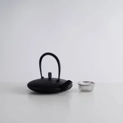 Kukan Chuzo / Hisao Iwashimizu Nambu Tekki Cast Iron Moon Teapot Online
