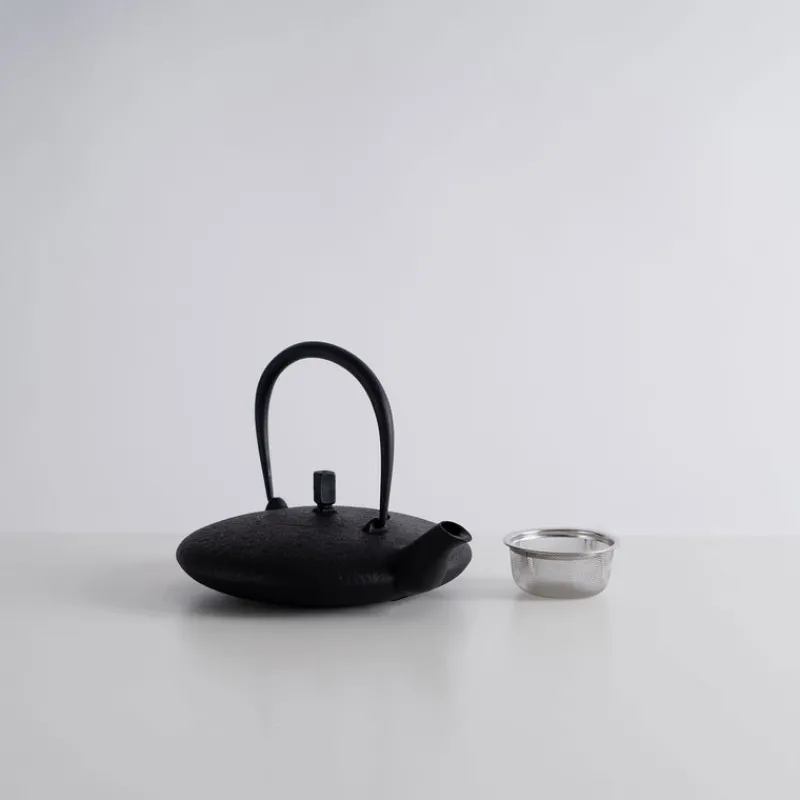 Kukan Chuzo / Hisao Iwashimizu Nambu Tekki Cast Iron Moon Teapot Online