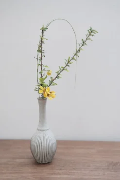 Zhitaofang's/製陶方式 Pleated Vase in White Sale