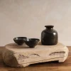 Sheng Ceramic Sake Set in Black Green Online
