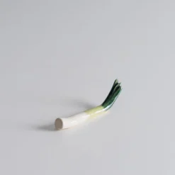 Mogutable Selects Scallion Chopstick Rest Sale